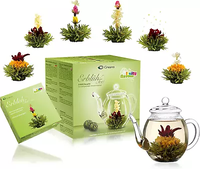 Buy Creano Blooming Tea Gift Set – Flowering Tea Giftset With 500 Ml Glass Tea Pot A • 26.77£