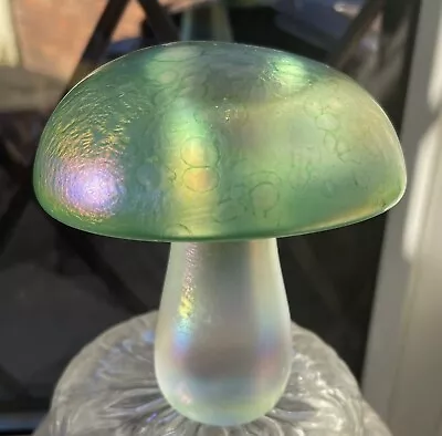 Buy John Ditchfield - Glasform Mushroom • 25£
