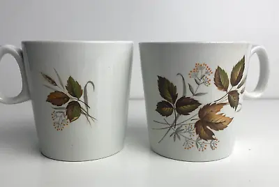 Buy Pair Vintage Autumn Leaves Cups / Mugs - Swinnertons Staffordshire • 5.99£