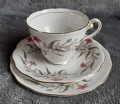 Buy Royal Standard Trio Cup, Saucer Plate & Side Plate - Fancy Free Pattern • 15£