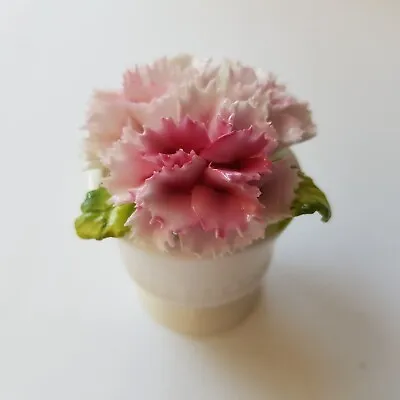Buy Crown Staffordshire Ceramic Flower Pot 5cm Crysanthemum Miniature England • 17.95£