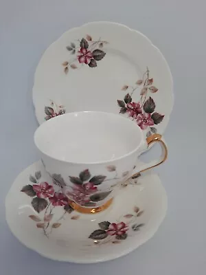 Buy Royal Windsor Fine Bone China Cup Saucer And Small Plate. 0151 • 11.99£