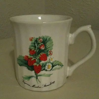 Buy Vintage Virginia Meadow Strawberry Fancy Handle Ceramic Mug • 9.64£