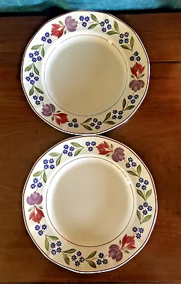 Buy ADAMS OLD COLONIAL IRONSTONE DINNER PLATES X 2 • 19£