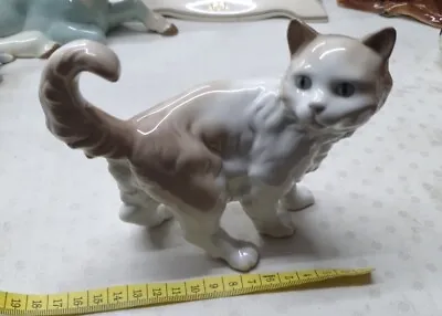 Buy NAO/ Lladro Cat  Porcelain Figurine (B14) • 30£
