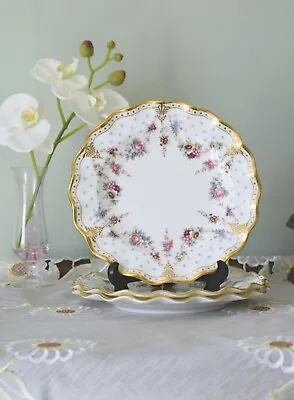 Buy Royal Crown Derby Royal Antoinette Fluted Plate 20cms 2nd Quality Price/Plate • 49£