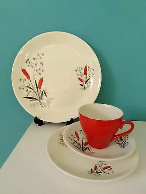 Buy Vintage Crown Clarence 'Redrush' 4 Piece Set-Plate, Side Plate,Saucer & Tea Cup • 24£