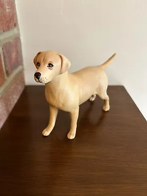 Buy BESWICK Solomon Of Wendover Golden Labrador Dog Figurine 1548 Matt Finish • 12£