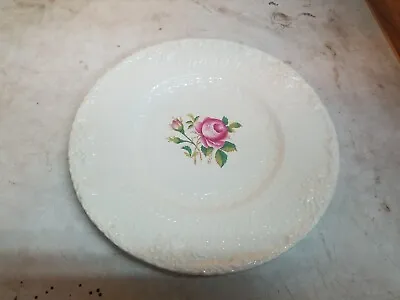Buy Vintage Royal Cauldon 10.5  Plate; Made In England; Old Chester; Chester Rose • 7.68£