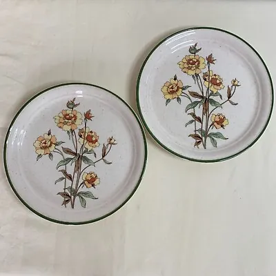 Buy Vintage Arklow Honey Stone Salad Plates Side Plate South Quay Floral Yellow 8179 • 9.99£