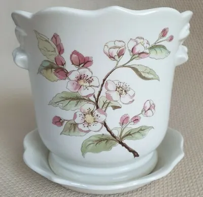 Buy Royal Winton Pottery Staffordshire Plant Pot Hand Painted Floral Made In England • 13.95£