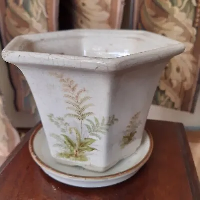 Buy Vintage Royal Winton Staffordshire Hexagonal Ceramic Planter Plant Pot Fern • 6.99£