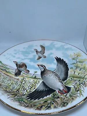 Buy Royal Grafton 4/4 Game Birds Plate French Partridge Animal Dish 8.5   #LH • 4.50£