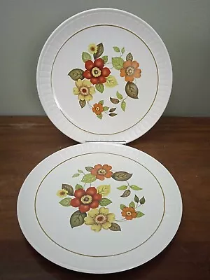 Buy Pair Of Vintage 1960's, Royal Worcester, Palissy, 'Clovelly' 22.5cm Plates • 5.95£