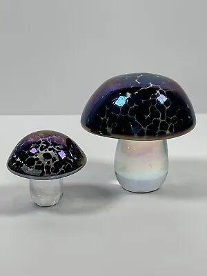 Buy John Ditchfield 2 Glasform Glass Mushroom Dark Iridescent Paperweights 7cm 4.5cm • 74.61£