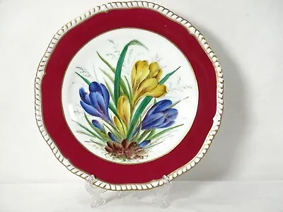 Buy Vintage Hand Painted Coalport Cabinet Plate. Floral Design. 23cm. • 9.99£