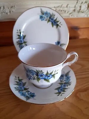 Buy Vintage Queen Anne Blue Floral China Tea Cup, Saucer, Side Plate Pristine. • 5£