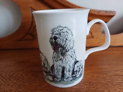 Buy Fine Bone China Old English Sheepdogs Mug By Roy Kirkham In Excellent Condition  • 8.50£