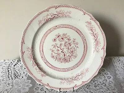 Buy Cauldon Pottery Large Charger / Large Plate With Pink Transfer Pattern - 38cm • 35£