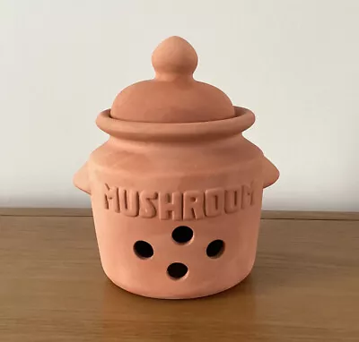 Buy Terracotta Mushroom Storage Keeper With Lid And Vent Holes • 10.95£