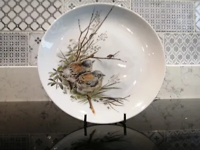 Buy Kaiser West Germany Plates SET OF THREE Bird Designs See Each Picture • 6.99£