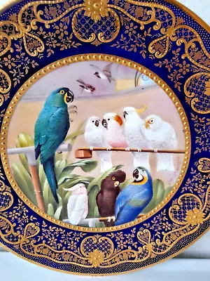 Buy Paragon. Hand Painted Plate. (f. Micklewright)'select Committee' Parrots Birds • 29.95£