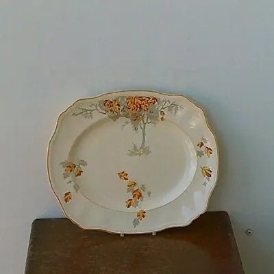 Buy Vintage (1930's) Alfred Meakin (Marigold Design) Fine Bone China Small Serving P • 12.99£