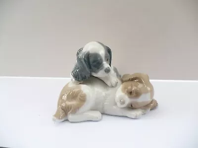 Buy Nao By Lladro Two Puppies Figurine 1983 • 12.50£