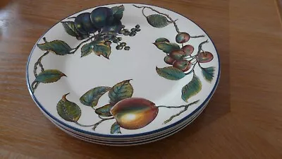 Buy Staffordshire Tableware Autumn Fayre Dinner Plates X 4 . • 20£