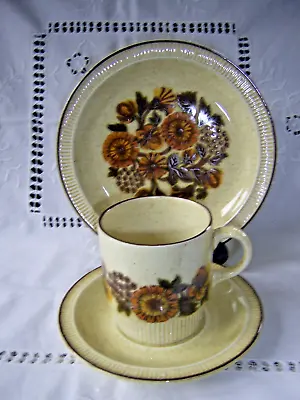 Buy VINTAGE 1970's POOLE POTTERY TRIO, CUP, SAUCER, PLATE, THISTLEWOOD PATTERN. • 4£