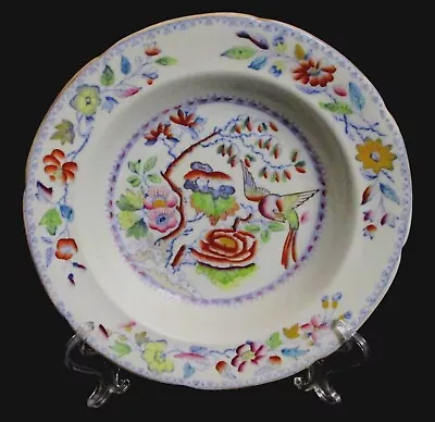 Buy Antique Mason's Patent Ironstone 'Flying Bird' Pattern Rim Soup Dinner Bowl 9  • 57.62£