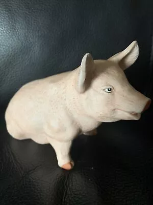 Buy Capodimonte Pig • 4£