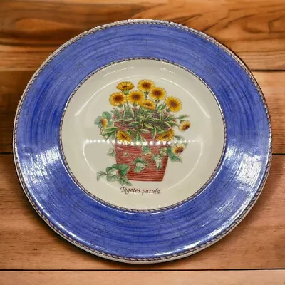 Buy Vintage Wedgewood Sarah’s Garden Blue Salad Plate Queensware Made England 1997 • 27.18£