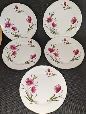 Buy Vintage Adderley Fine Bone China Side Plates X5 Floral • 15£