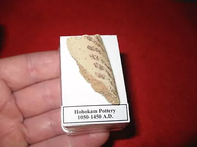 Buy Hohokam Extinct Tribe Indian Pottery Shard 800 Yrs Old Arizona Display Case #8 • 10£