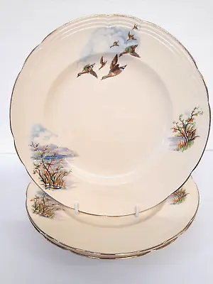 Buy Alfred Meakin Flight Ducks Dinner Plates 9.75   X 3 Vintage England Pottery • 11.24£