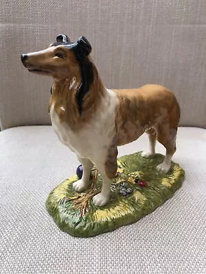 Buy Royal Doulton Working Dog Collection ‘Rough Collie’ RDA9 2003 Boxed. • 35£