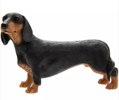 Buy  Miniature Standard Black Dachshund Dog Daschund Dog Gift Figure Figurine • 8.99£