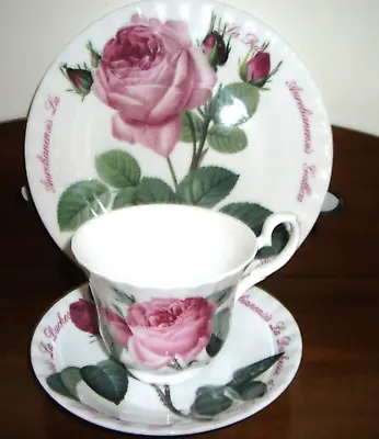 Buy ROY KIRKHAM ROSES CUP SAUCER & PLATE - La Duchesse D'Orleans Rosa Aurelianensis • 16.99£