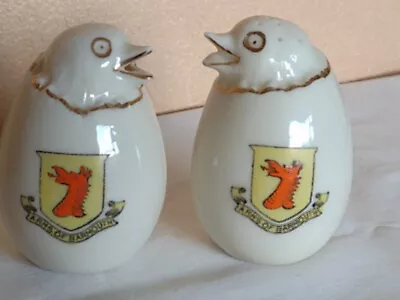 Buy Crested China Miniature  Penguin  Cruet Set Unknown Make  Arms Of Barmouth Crest • 6.99£