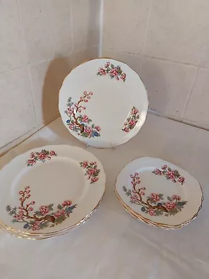 Buy Colclough (Rare) Indian Tree Salad And Side Plates • 20£