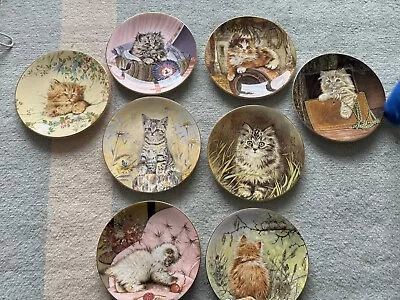 Buy Royal Worcester Hamilton Kitten Classic Plate Collection 8 Plates • 30£
