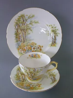 Buy Shelley Daffodil Time Breakfast Trio: Tea Cup, Saucer, Side Plate 13370 Yellow • 20£