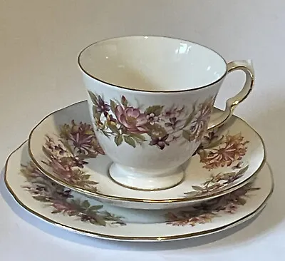 Buy Colclough Wayside Bone China Trio Cup Saucer Side Plate  Vintage Afternoon Tea • 12.99£