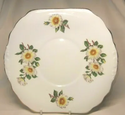 Buy Duchess Cake Sandwich Plate White Dog Rose Floral Bone China Vintage • 4.99£