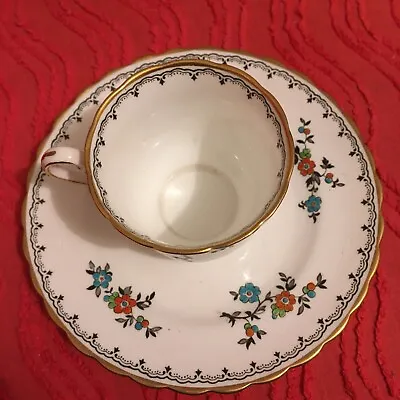 Buy TUSCAN FINE ENGLISH BONE CHINA  TEACUP And Side Plate  White/Multi • 6£