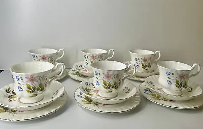 Buy Richmond Wild Anemone Fine Bone China Set Of 6 Tea Cups, Saucers And Tea Plates • 49.99£