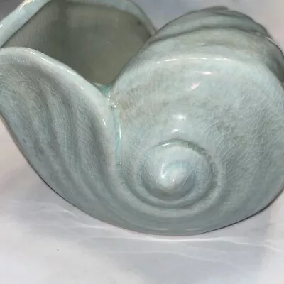 Buy Turquoise Blue Or Ming Turquoise Conch Shell - 7”x5.5”x3.5 Planter, Catch All! • 23.02£