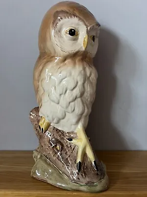 Buy A Large English Melba Ware Handpainted Owl Figurine 24cm Tall, Signed, Undamaged • 24.99£