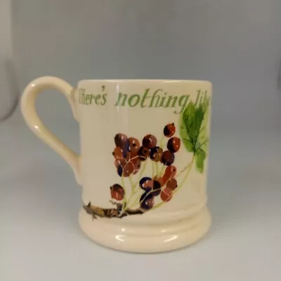 Buy Emma Bridgewater 1/2 Pint Mug There's Nothing Like A Cup Of Tea In The Garden • 23£